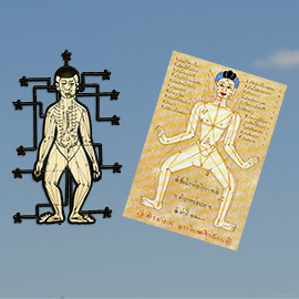 Acupressure cards with meridians