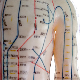Meridians on the body