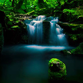 Waterfall in the forest